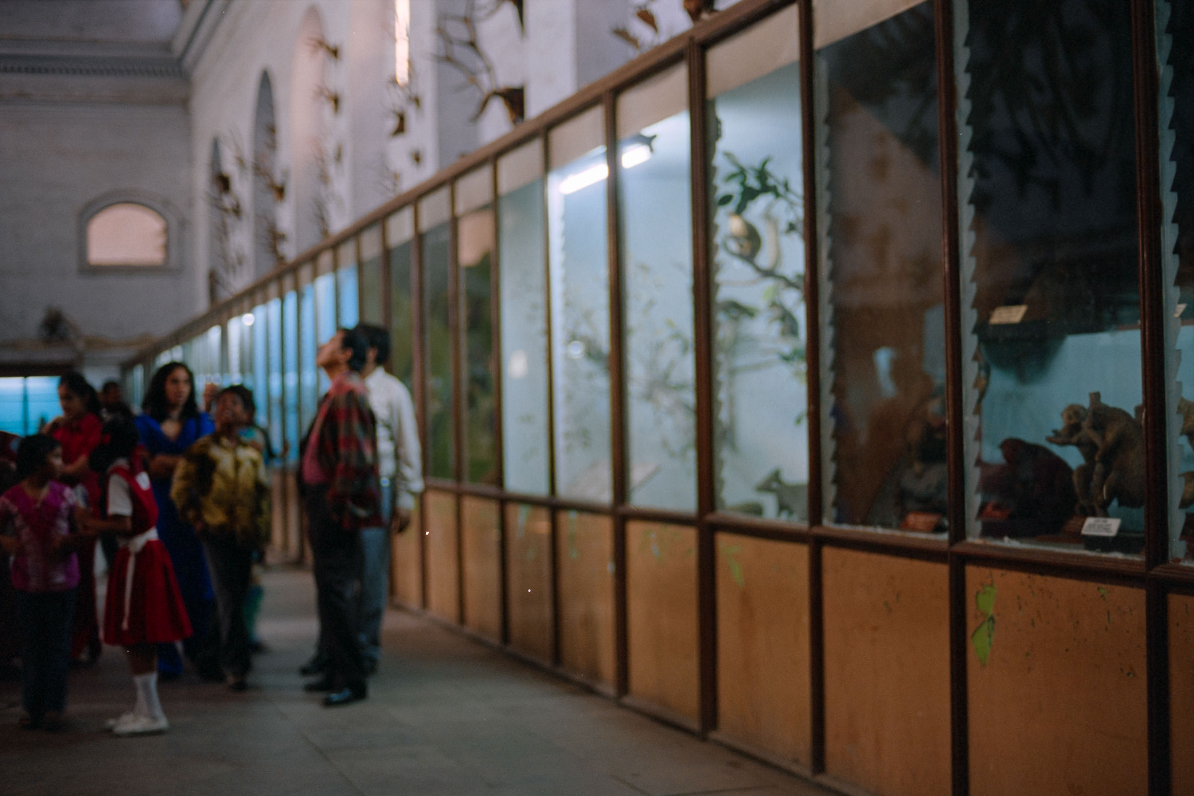 AHP film 2005 01 001 sc240825 img21 NLP